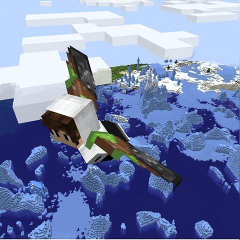 我的世界(Minecraft) 我的世界(Minecraft)