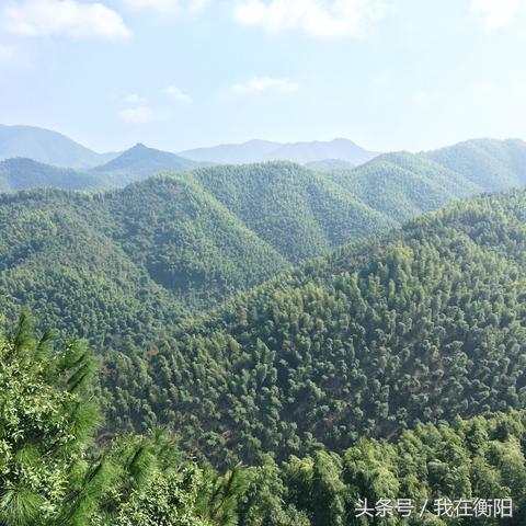 又白又大又圆的山峰 又白又大又圆的山峰
