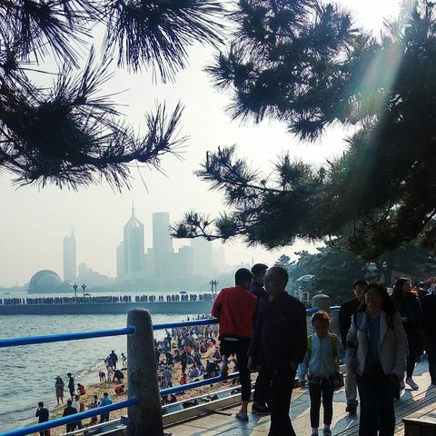 大海的呼唤