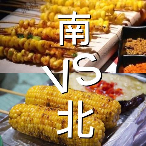 如果具体来说差异，可能包括以下几个方面