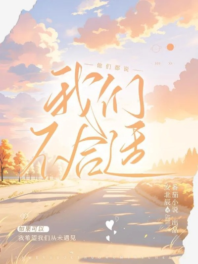 我们不合适全文免费阅读