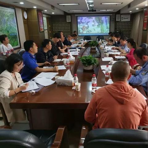基础加点策略 基础加点策略