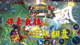 李白被韩信放跳蚤