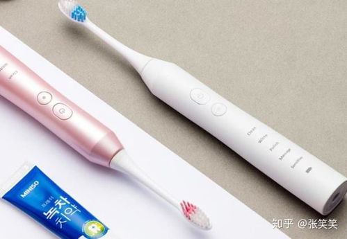 电动牙刷怎么玩自己那里带刷头吗第几章